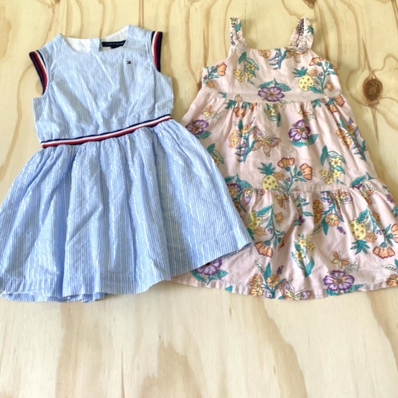 Carter's Other - Tommy Carters Toddler Girl Dresses Lot of 2 Spring Summer Dresses Size 3T